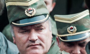 Bosnian Serb General Ratko Mladic leaves a meeting at the airport in Sarajevo