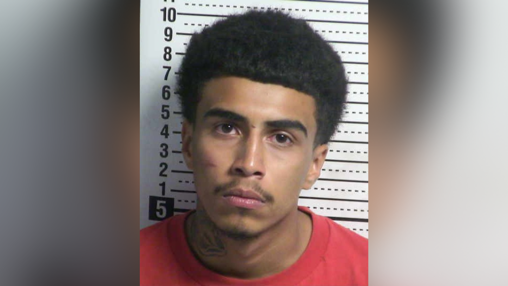 18-year-old charged in Las Cruces shooting: Documents