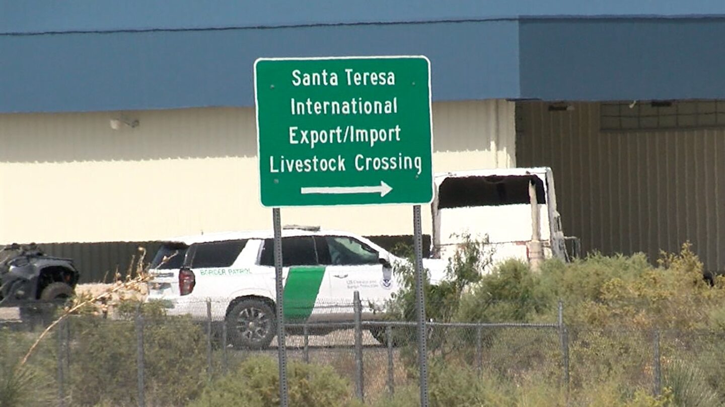 Santa Teresa Livestock International Crossing