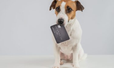How to manage the rising costs of being a pet parent