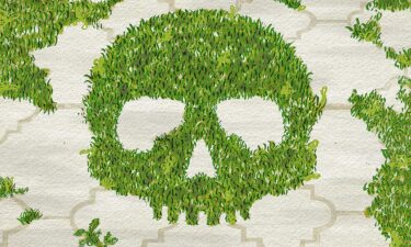 Weeds
