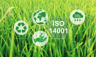 How businesses can transition seamlessly to ISO 14001:2026 to demonstrate environmental responsibility
