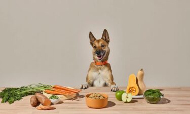 What ingredients to look for in fresh dog food