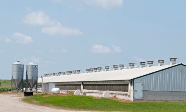 What data on 11K farms reveals about the country&rsquo;s factory farm hotbed