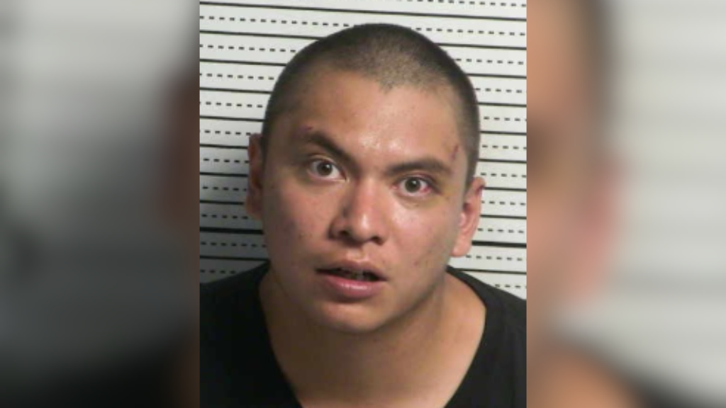 Man arrested after allegedly causing bus crash near Mesquite