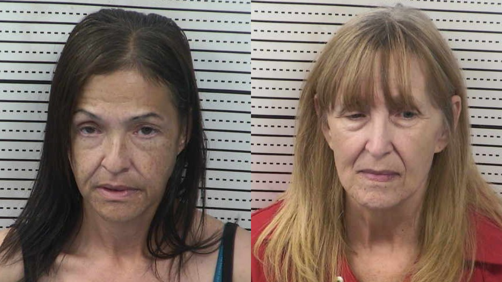 Crystal Buster (left) and Kim Stevenson's mugshots. 