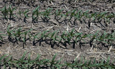 As family farms decline and the climate heats up