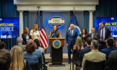 Trump&rsquo;s &lsquo;new era of animal welfare&rsquo; excludes almost all farm animals