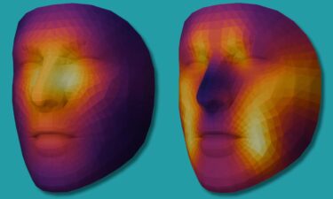 The mortality risk prediction algorithm and the age estimation algorithm look at different parts of the face to make their assessments.