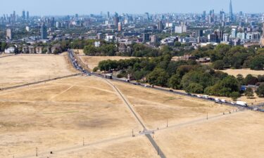 An aerial view of scorched grass in London