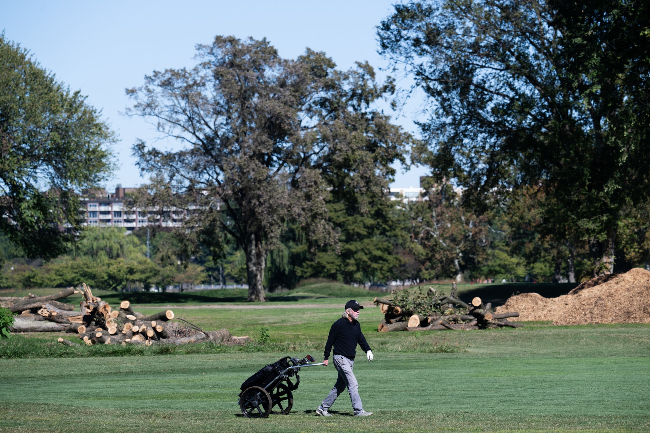 <i>Saul Loeb/AFP/Getty Images via CNN Newsource</i><br/>A golfer walks in front of cut down trees at East Potomac Golf Links near Hains Point in Washington