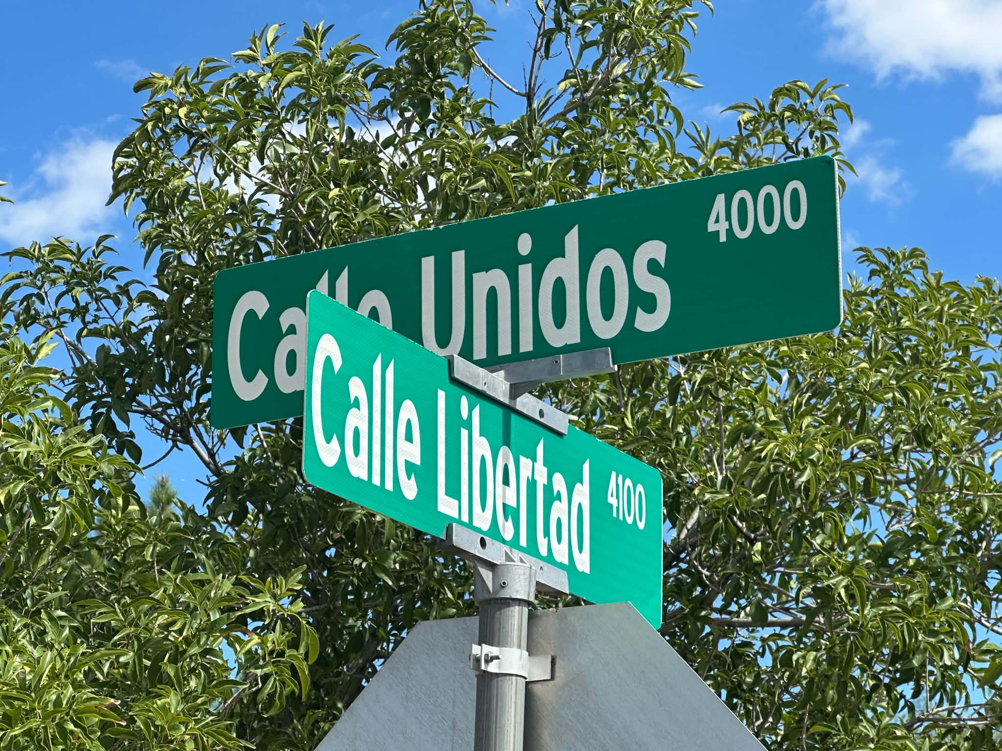 Police are investigating a murder-suicide that occurred Saturday, Oct. 24, on Calle Libertad in Las Cruces.