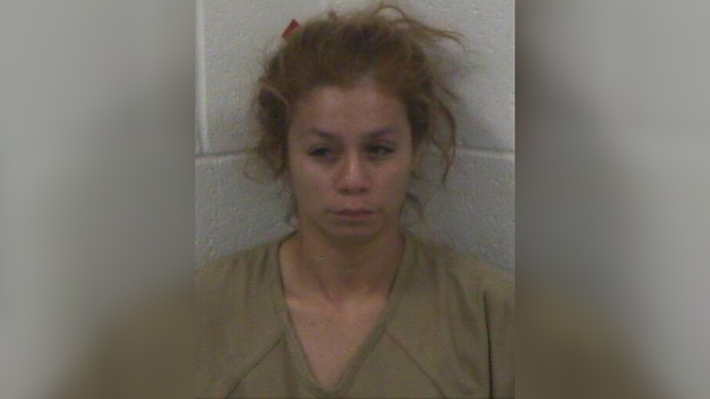 Landy Victoria Carrejo's mugshot. (Courtesy: Otero County Detention Center)